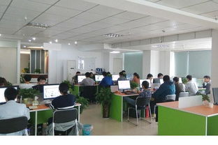 看准网 打造网络科技技术开发与运营的卓越平台